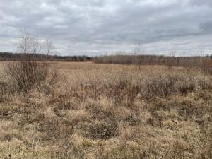 a winter prairie against a cloudy sky